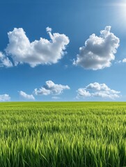 Obraz premium Serene Green Field Under Blue Sky - Tranquil landscape, vibrant green grass, fluffy white clouds, clear blue sky, bright sunlight. Symbolizes peace, growth, nature, purity, hope.