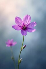 Fototapeta premium A Delicate Pink Flower Blooming in Soft Light, a Symbol of Serenity and Natural Beauty