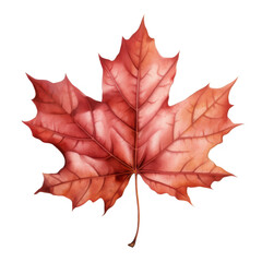 Fototapeta premium Maple Leaf Clipart Vector Illustration