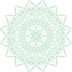 Beautiful flower art and mandala vector design
