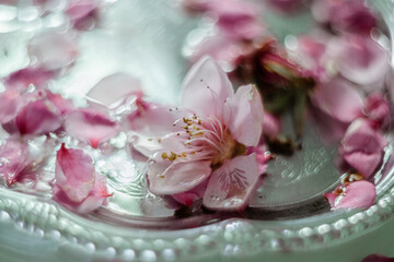 pink peach tree petals on a tray in a vintage-style room