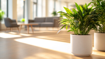 Fototapeta premium A vibrant indoor plant in a bright, modern living space.