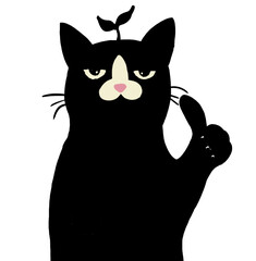 Blackcat
