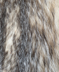 A close up of a fur texture with a light and dark brown color