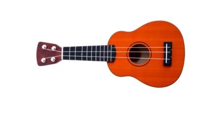 Colorful Ukulele in a Drizzling Rain Scene