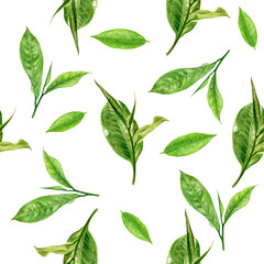 Hand-Painted Watercolor Seamless Tea Leaves Pattern Isolated on White