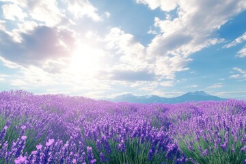 Naklejka premium Lavender Field Under a Sunny Sky with Mountains in the Distance