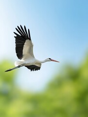 Graceful white stork soars through bright sunlight above lush green landscape. AI Generated