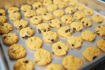 photo image of delicious raisin cookies. Cookies before baking on a tray
