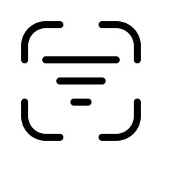 Accessibility Scan-text