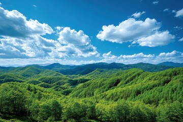 Obraz premium Lush Green Mountains Under a Bright Blue Sky