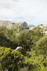 Panorama from the pick de L'ofre, Sierra de Tramuntana, Mallorca, Spain
