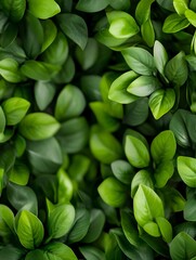 Lush Green Leaves Vibrant Texture Background. AI Generated
