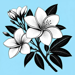 Obraz premium Jasmin flower silhouette with blue background 