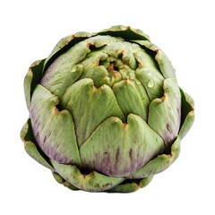 Obraz premium artichoke isolated on white background