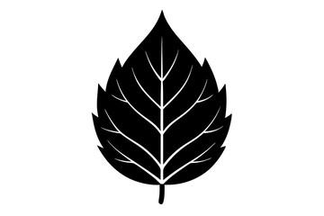 Elegant Leaf Silhouette Icon on a Clean White Background