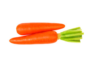 Two fresh organic carrots isolated on white background. top view.