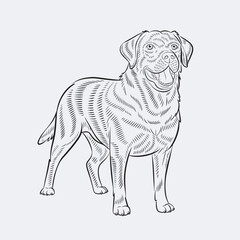 A line art dog.eps