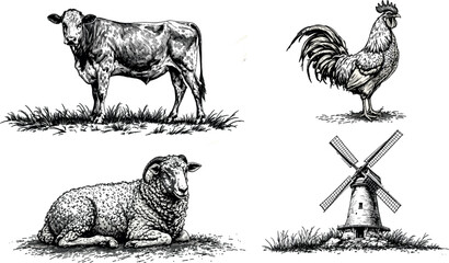 Hand-drawn vintage farm animals and windmill vector illustration in engraving-style line work © Ksenia