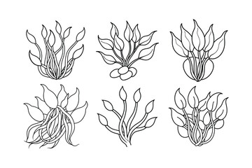 Bamboo Shoots (Bambusa vulgaris), vegetable, illustration, vector, food, outline, healthy eating, cut out, horizontal, icon set, freshness, salad, food and drink, line art, symbol, agriculture, line i