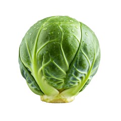 Fototapeta premium brussels sprout isolated on white background