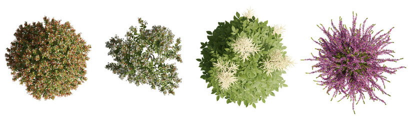 set of trees rendered from the top view, 3D illustration, for digital composition, illustration, 2D plans, architecture visualization © ANDRIBENKY