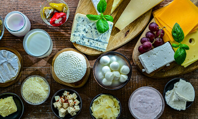 A variety of dairy products including cheese, milk and yogurt