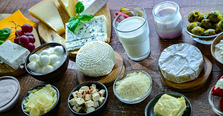A variety of dairy products including cheese, milk and yogurt