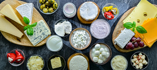 A variety of dairy products including cheese, milk and yogurt