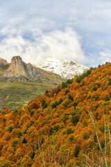 Autumn colours in the Pineta Valley with snow-capped peaks - Huesca