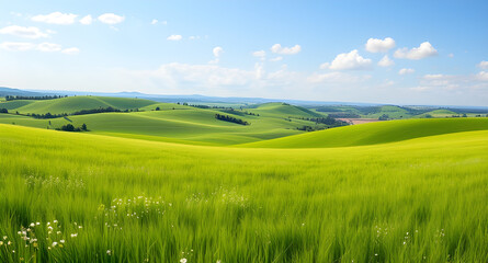 Obraz premium green field and blue sky