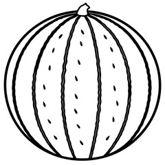 Clean watermelon Outline Vector