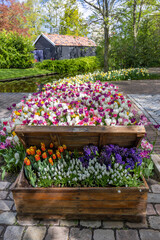 Fototapety na wymiar - Fototapeta24.pl