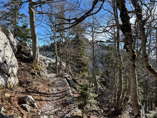 Premuzic hiking trail or Premuzic Trail - Northern Velebit National Park, Croatia or Premuzic-Wanderweg or Premuzic's Trail (Pješački planinarski put Premužićeva staza - NP Sjeverni Velebit, Hrvatska)