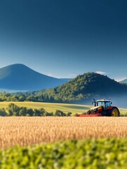 Fototapeta premium Golden hour sunlight bathes tranquil farm landscape tractor harvests ripe wheat field. AI Generated