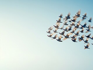 Fototapeta premium Birds fly dynamically in formation against a bright blue sky. AI Generated