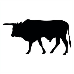 Black Bull Silhouette vector illustration