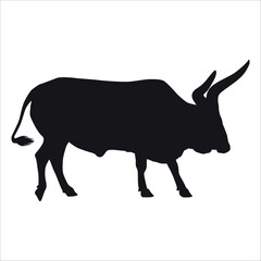 Black Bull Silhouette vector illustration