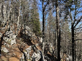 Premuzic hiking trail or Premuzic Trail - Northern Velebit National Park, Croatia or Premuzic-Wanderweg or Premuzic's Trail (Pješački planinarski put Premužićeva staza - NP Sjeverni Velebit, Hrvatska)