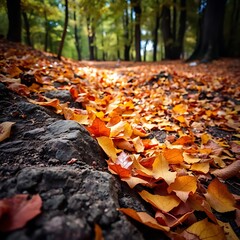 Obraz premium Autumn leaves on forest path.