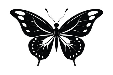 Vector butterfly black silhouette butterfly A.eps