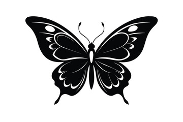 Vector butterfly black silhouette butterfly G.eps