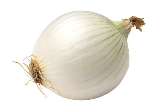 Cebolla blanca aislada