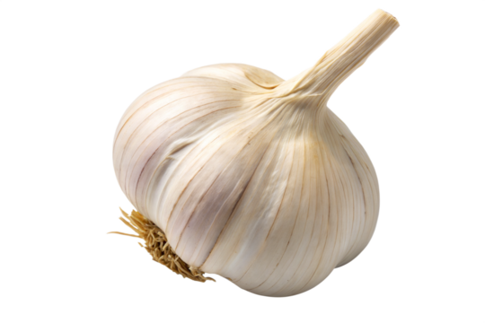 Ajo entero aislado