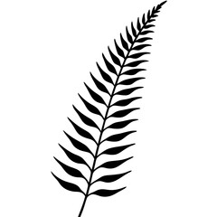 Fototapeta premium Detailed Vector Line Art Fern Edition