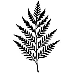 Detailed Vector Line Art Fern Edition