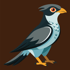  vector cuckoo bird art illustrator 