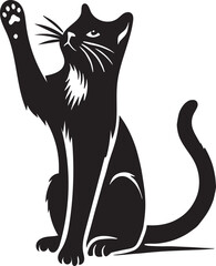 black cat with background