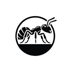 Vector Illustration of Black Ant Silhouette, Top View on White Background