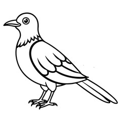 Obraz premium vector cuckoo bird art illustrator
